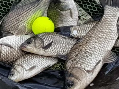 아름다운장계지에서