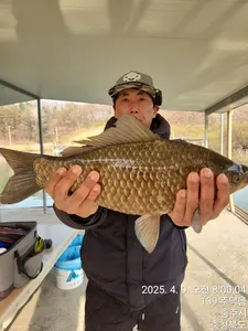 화곡낚시터 조황정보 