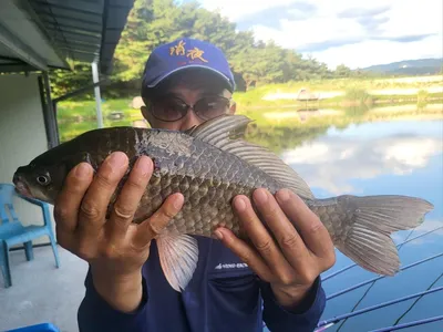 하루 한자리 4짜 5마리!! 기록!!