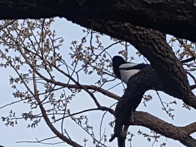 아름다운계곡속에자리잡은장계지에서