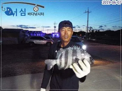 6월7일 어심바다낚시터조황