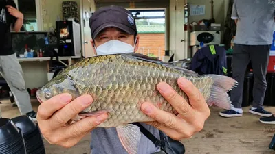 고삼지 한결같은 상류권 포인트!!