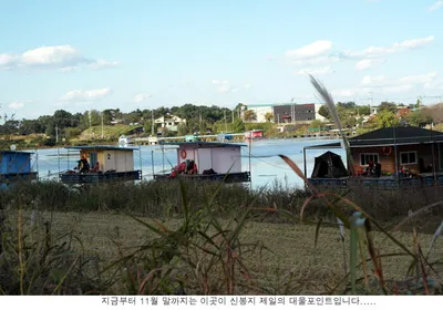 갑자기 추워지더니....