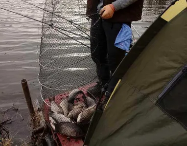 2019년 마무리를 합니다...