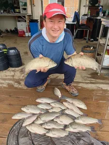 고삼지 연일 마리수 조황 터지고 있습니다.