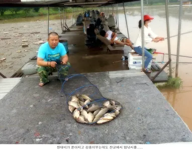 지긋지긋한 장마입니다....