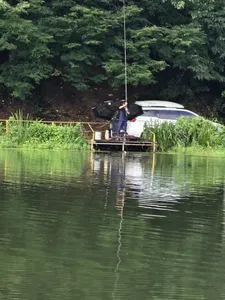 배수없는 항곡낚시터소식입니다.