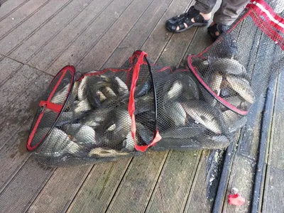 아산 산들낚시터의 9월 6일에 올리는 주말 모습입니다.