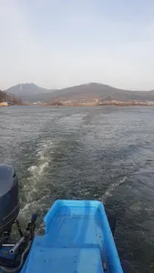 새해 인사드립니다.