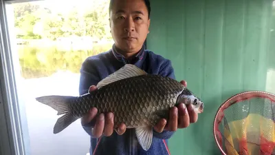 월척들 보기 좋습니다