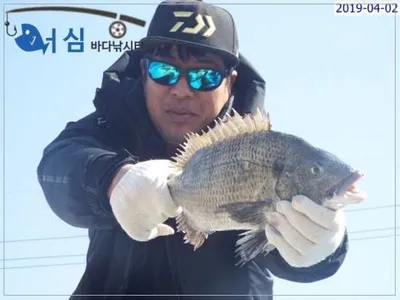 4월2일 어심바다낚시터조황