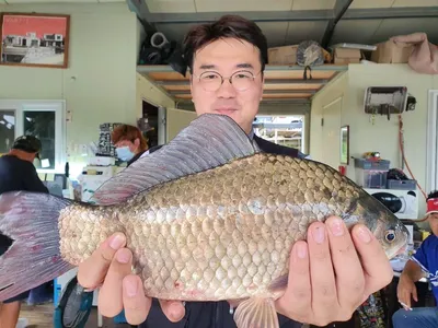 고삼지 상류권 사짜붕어 타작!!
