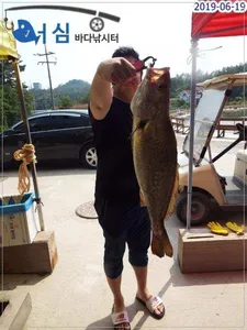   6월19일 어심바다낚시터조황