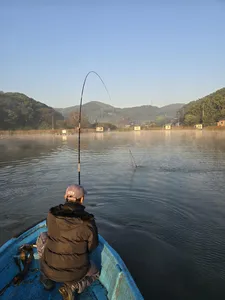 배수없는 항곡낚시터소식입니다.