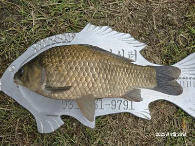 용담대물낚시터 