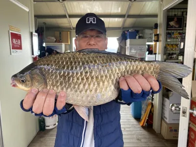 고삼지 사짜붕어 연일 행진중!!