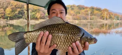 고삼지 주중 사짜붕어 추가요~