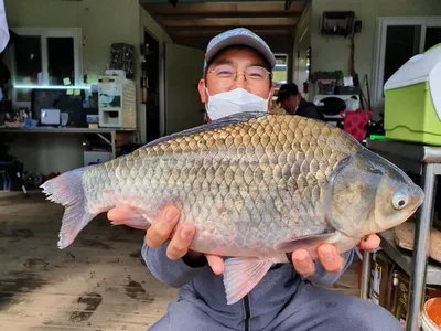 고삼지 상류권 독보적인 포인트