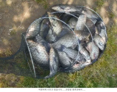 5월을 멋진조황으로 시작합니다....