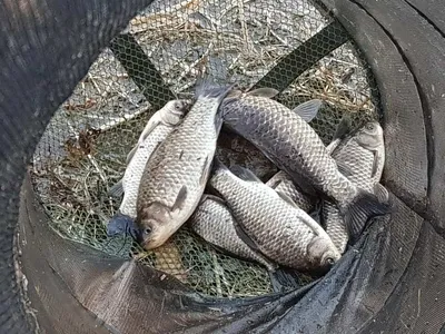 아름다운장계지에서