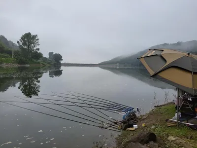 장계지에아름다운날들