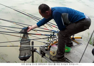 황토물색 속에서도 씨알급 붕어들이....
