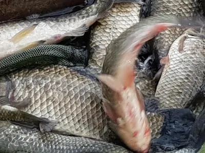 아름다운계곡속에자리잡은장계지에서