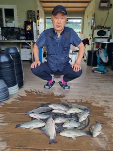 고삼지 물골포인트 추천!! 마리수 조황!!