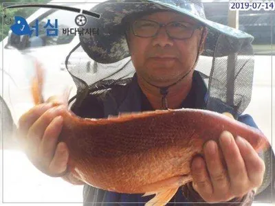 7월14,15일 어심바다낚시터조황 