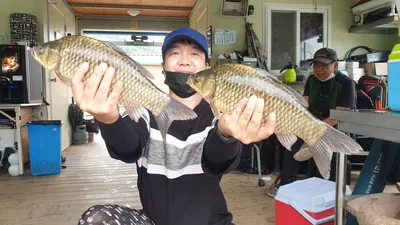 고삼지는 붕어 피크타임!!