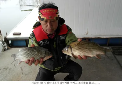 겨울날씨가 이상합니다...