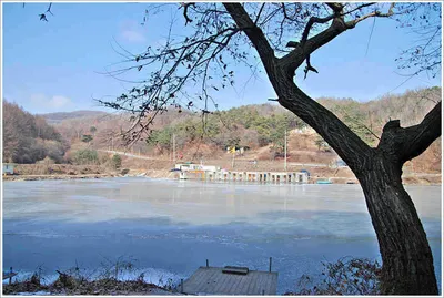 오늘보다 낳은 내일이...