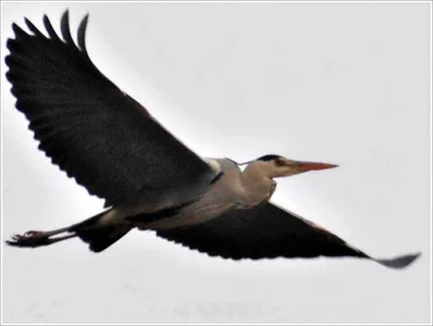 기다림의 日常 속에...