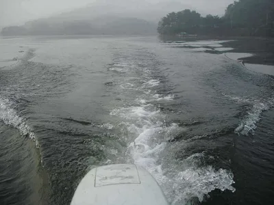 [금광지]조황정보입니다