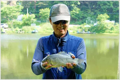 {{회암}}  여유로움과 바쁜손길의 사이...