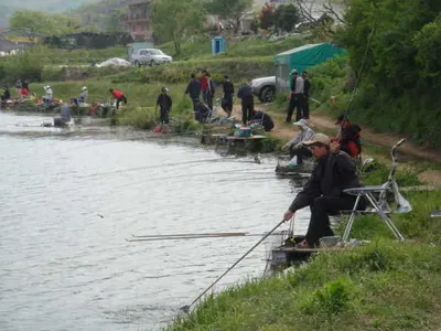 국화지 조황속보(04월30)