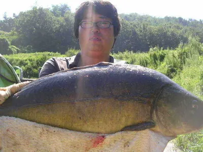 [뜨거웠던 말복조황]