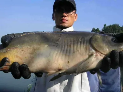 [낚시대를 부러뜨리고 싶으면~~~]