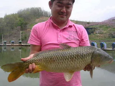 낚시는 정답이 없다?