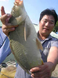 [포인트의 이동]