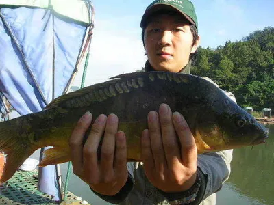 [한가위를 보내고....]