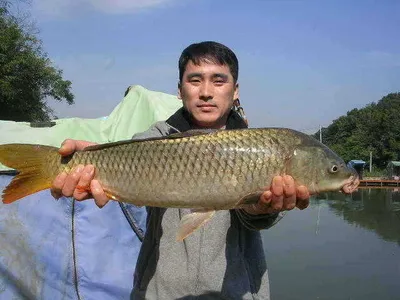 [낚시도 복이 있어야~~~]