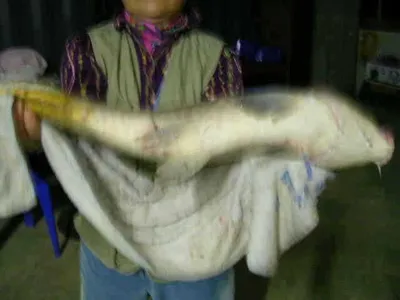 [7월첫주 조황 무난했습니다]