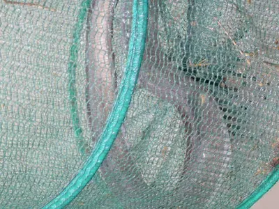 [운삼기칠(運三技七)]