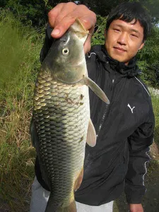 [10월에도 어복충만 하세요]