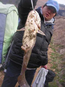 [4월 둘째주는 웃었습니다]