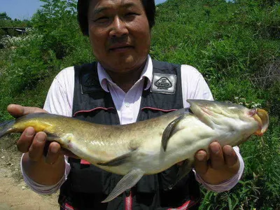 [6월 네번째 조황]