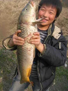 [4월 첫조황 입니다]