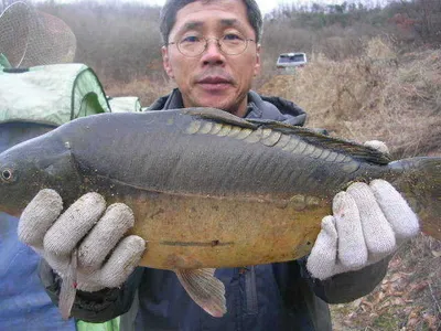 지금은 천복이 먼저,,,,,