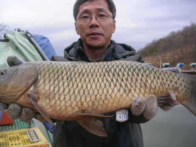 마음은 급해지는데........